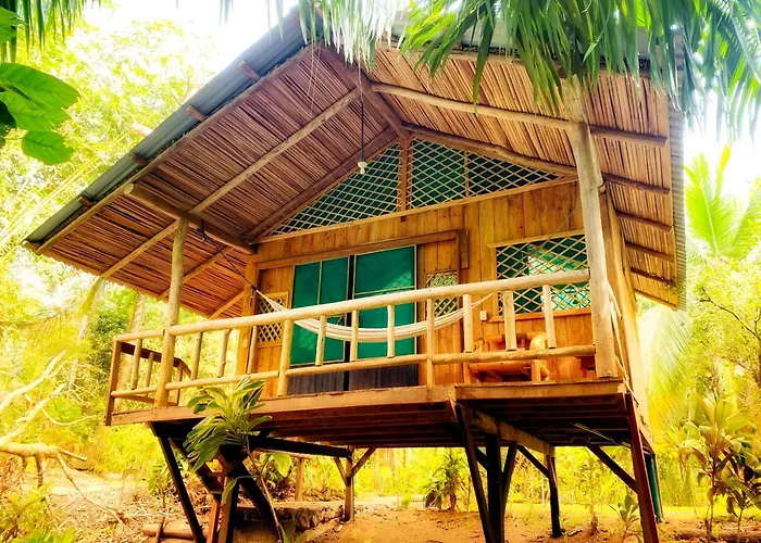 Ocean Forest Ecolodge