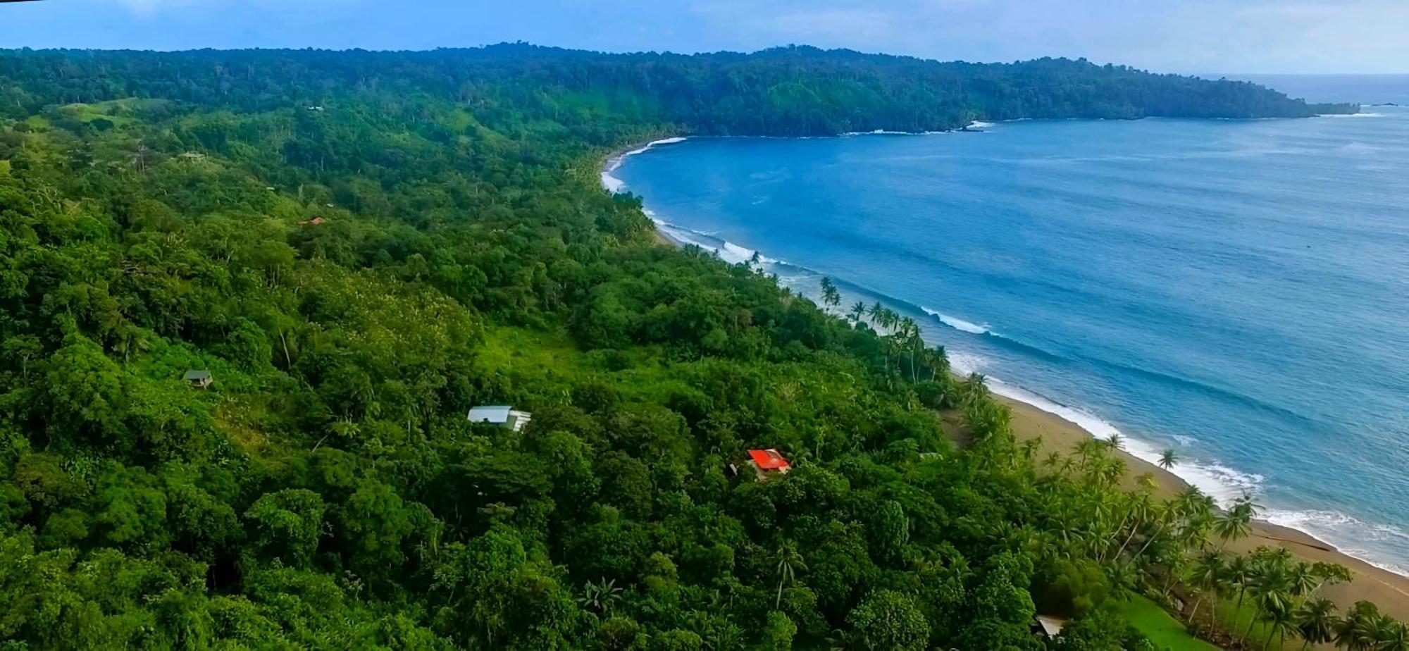 Hotel Ocean Forest