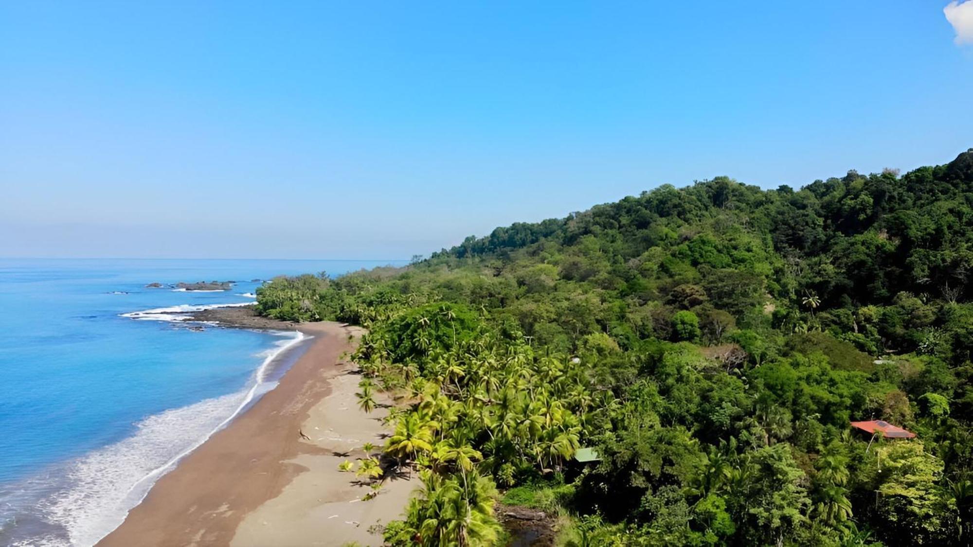 Ocean Forest 3*