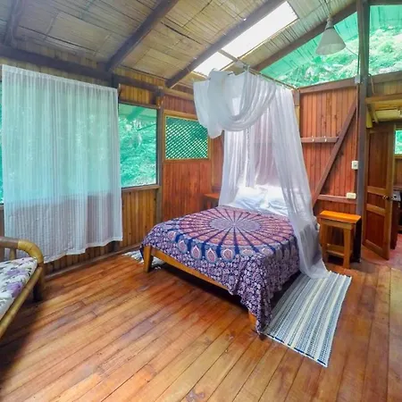 Ocean Forest Ecolodge San Pedrillo Exterior photo