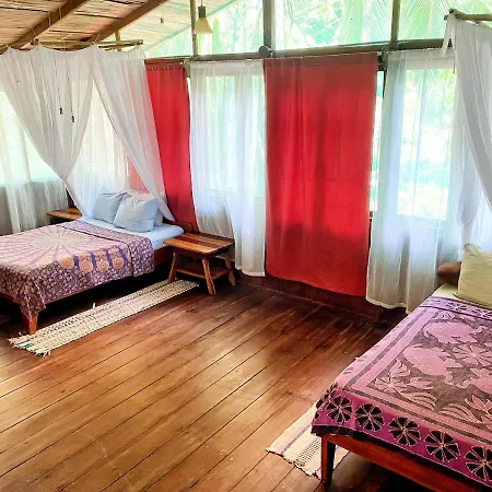 Ocean Forest Ecolodge San Pedrillo Exterior photo