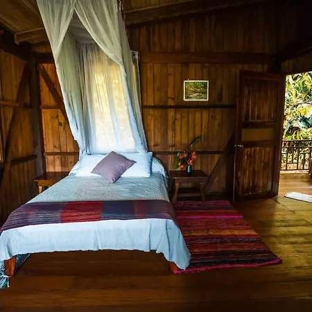 Ocean Forest Ecolodge San Pedrillo Exterior photo