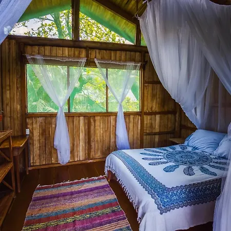 Ocean Forest Ecolodge San Pedrillo Exterior photo