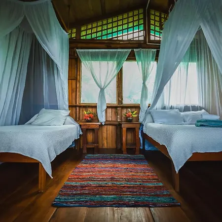Ocean Forest Ecolodge San Pedrillo Exterior photo