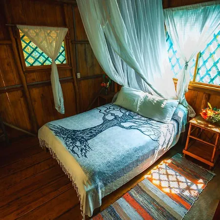 Ocean Forest Ecolodge San Pedrillo Exterior photo