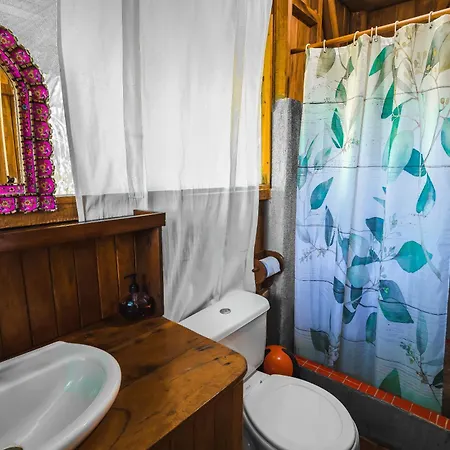 Ocean Forest Ecolodge San Pedrillo Exterior photo