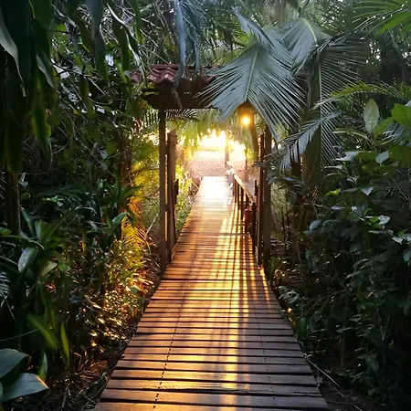 Ocean Forest Ecolodge San Pedrillo Exterior photo