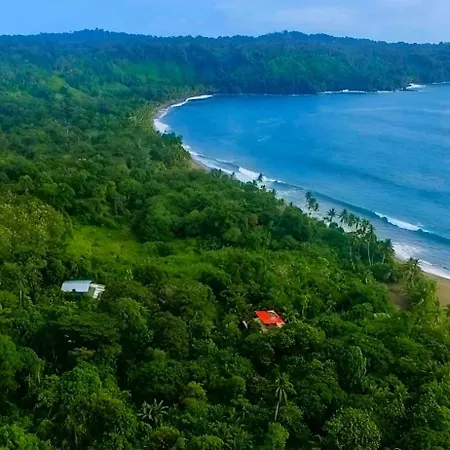 Ocean Forest Ecolodge San Pedrillo Exterior photo