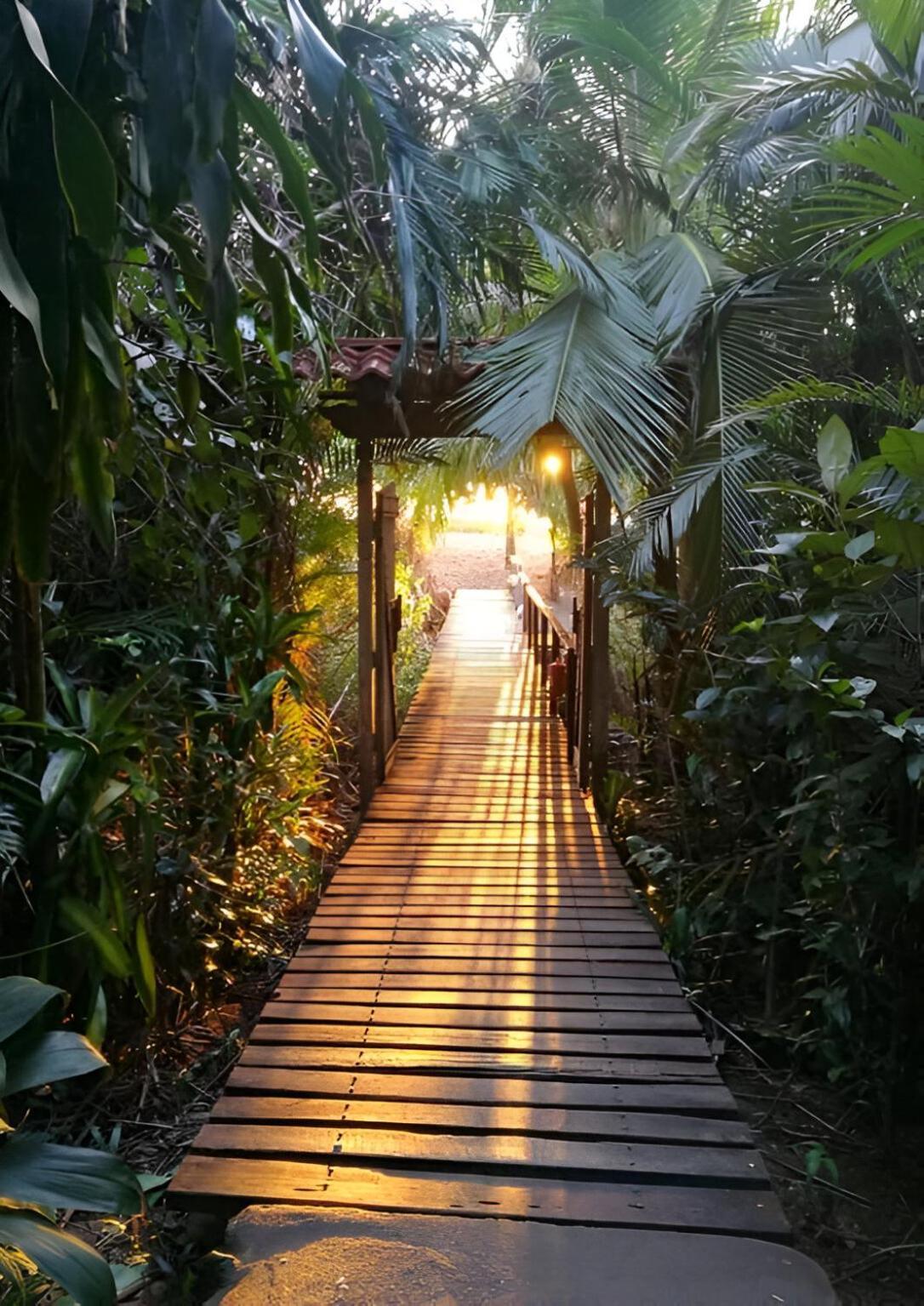 Ocean Forest Hotel