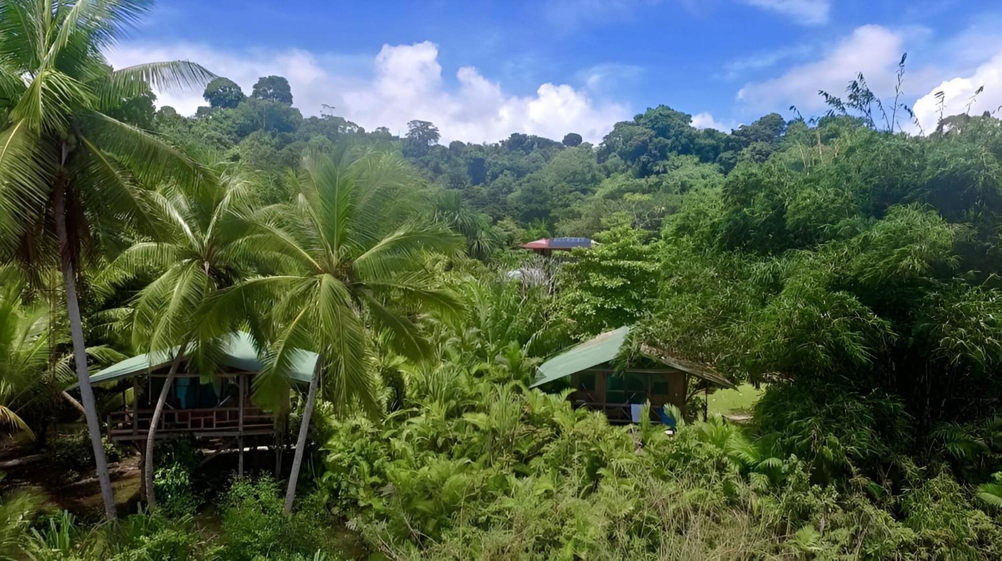Ocean Forest Hotel