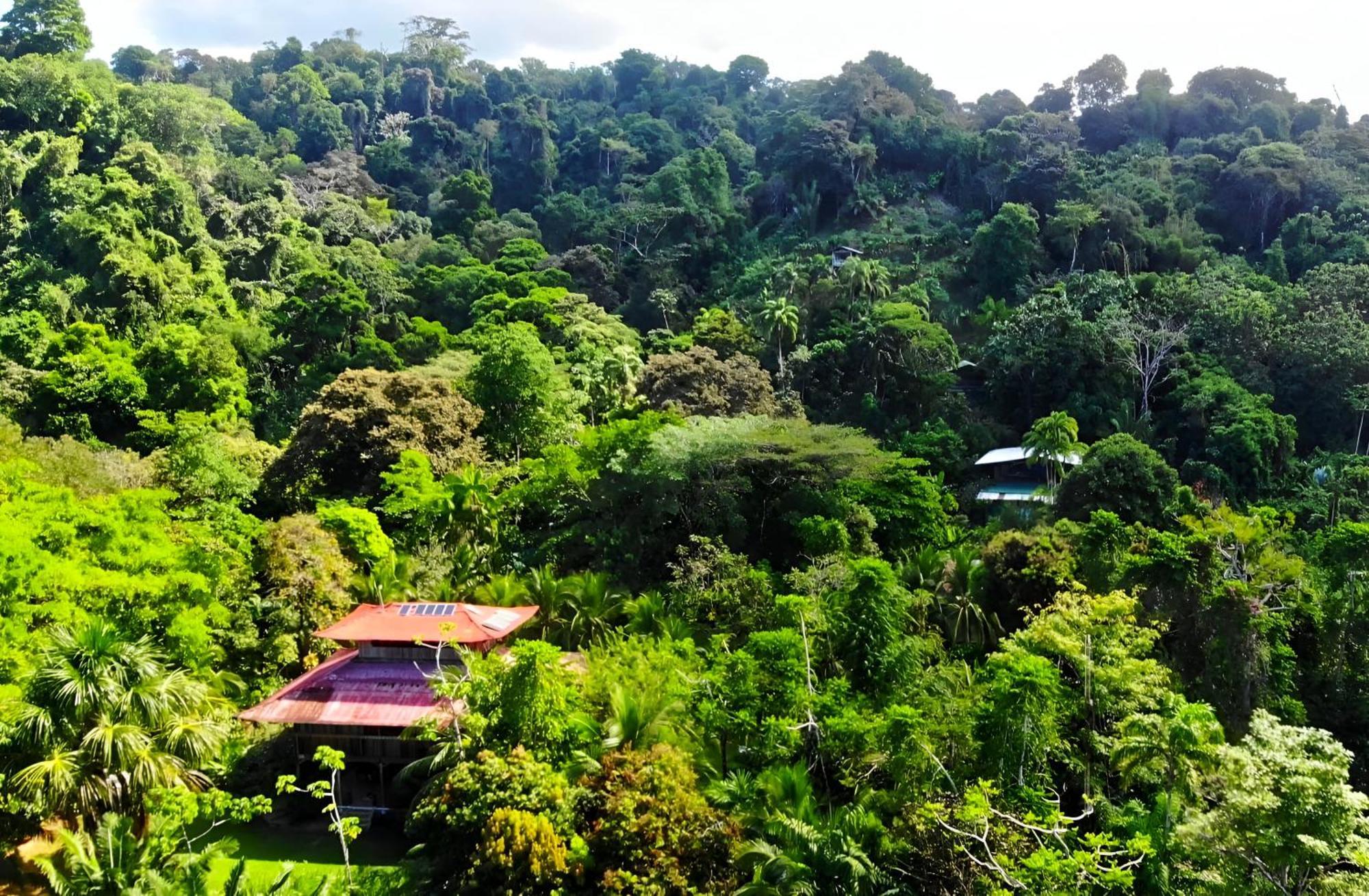 Ocean Forest Hotel San Pedrillo